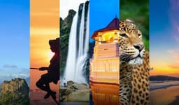 Crafting Your Dream Trip: The Perfect 7 to 14 Day Sri Lanka Itinerary