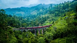 Amidst the Clouds: A Journey Through Sri Lanka's Enchanting Hill Country