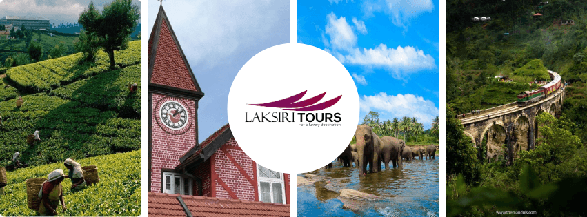tour package image