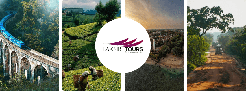 tour package image